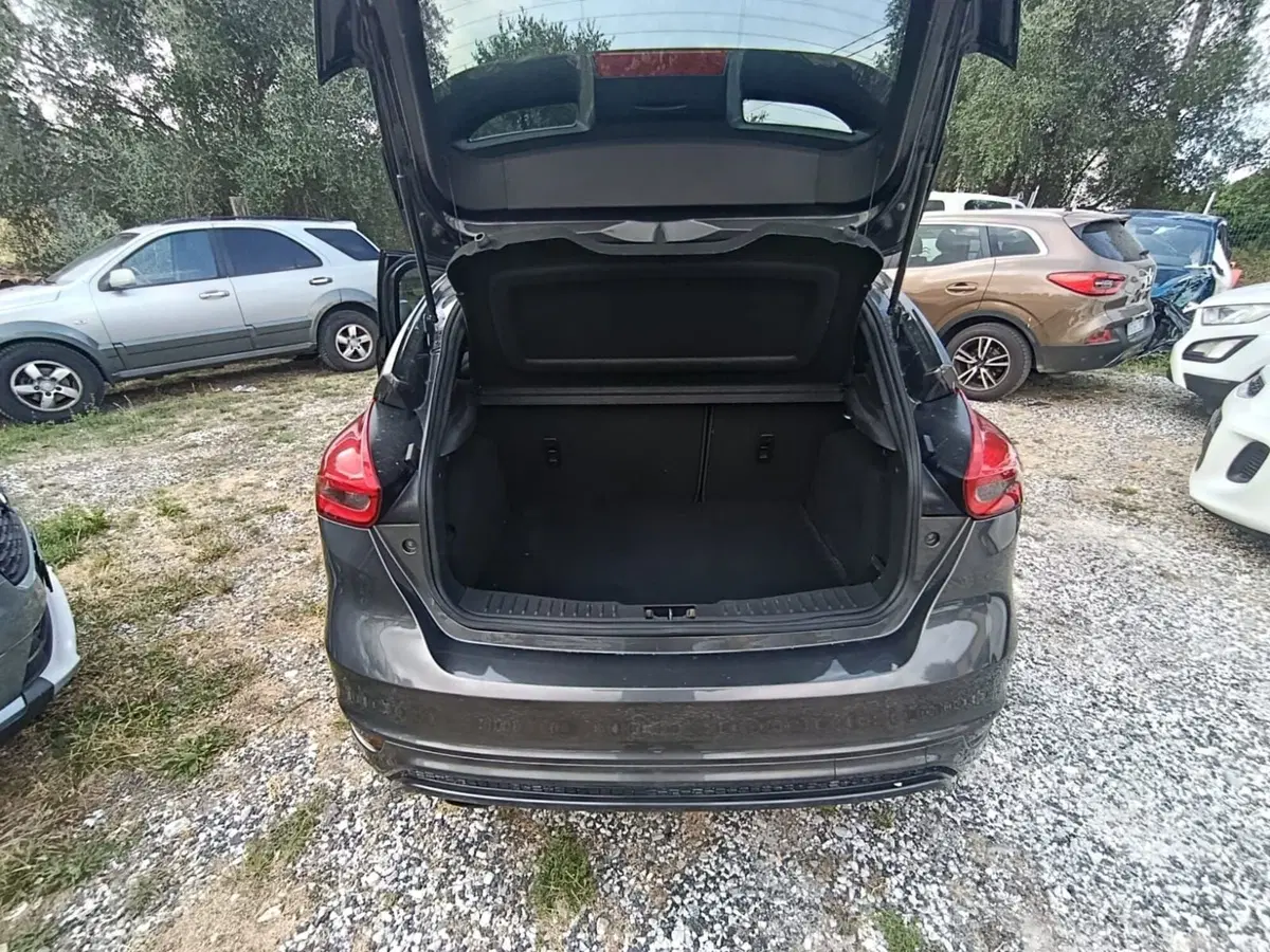 Ford Focus usata a Massa-Carrara (12)