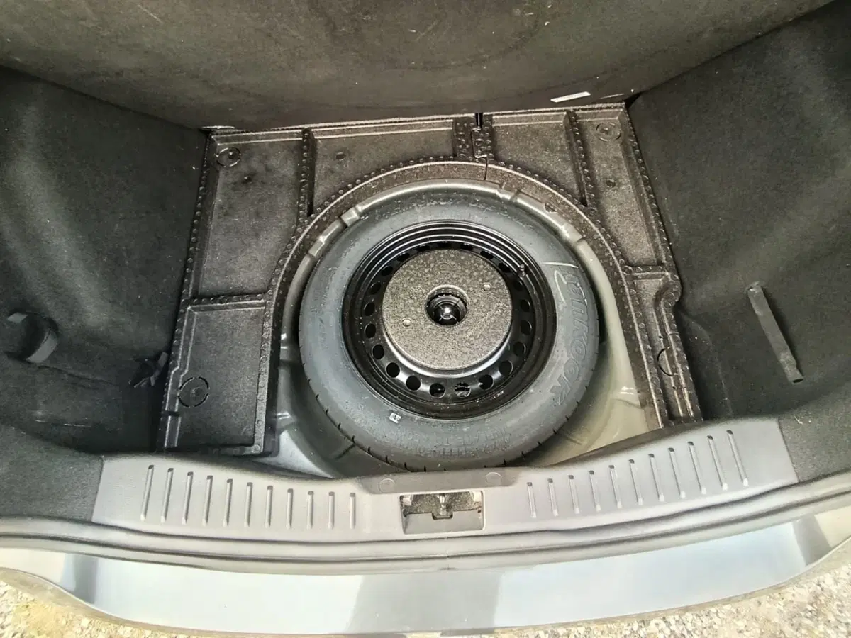 Ford Focus usata a Massa-Carrara (14)