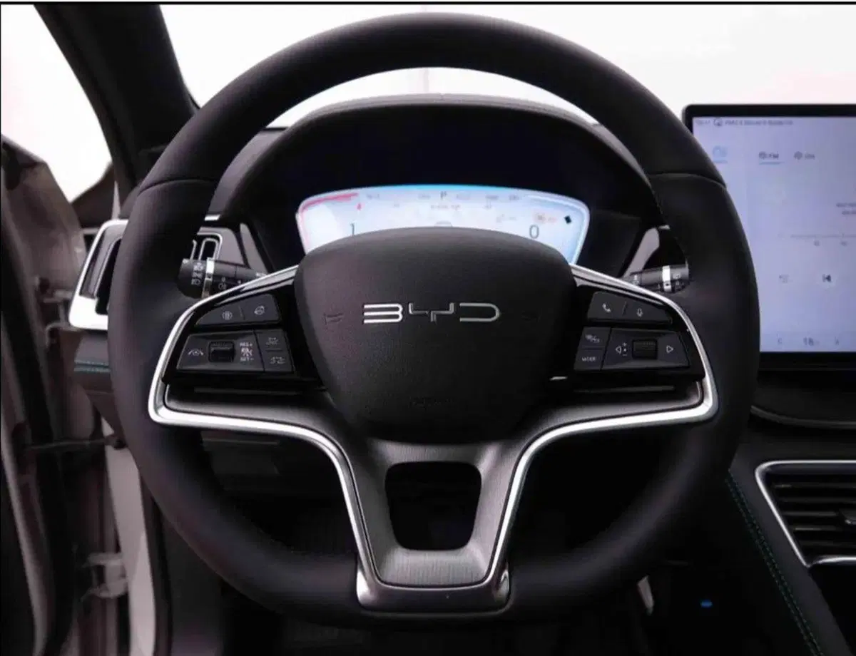Byd Seal U DM-i nuova a Bologna (7)