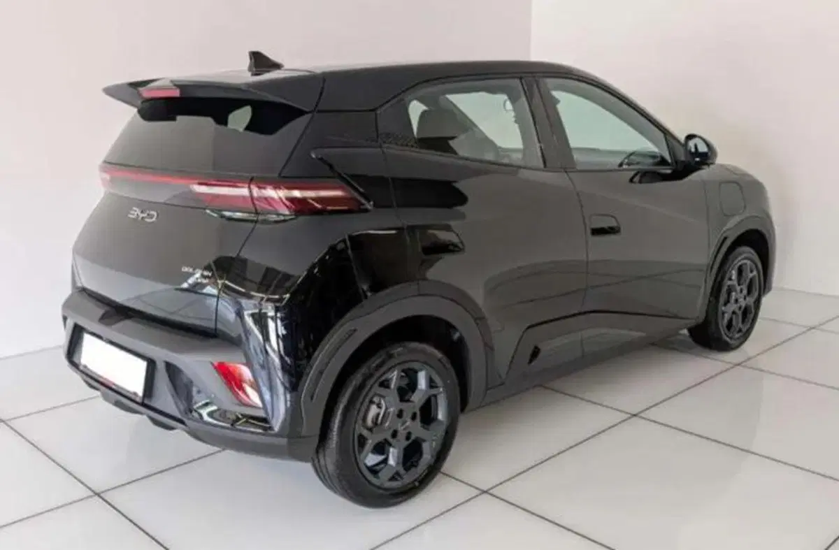 Byd Dolphin Surf nuova a Bologna (3)
