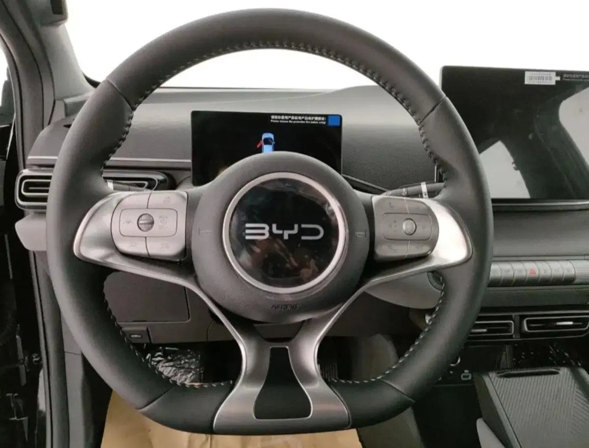 Byd Dolphin Surf nuova a Bologna (9)