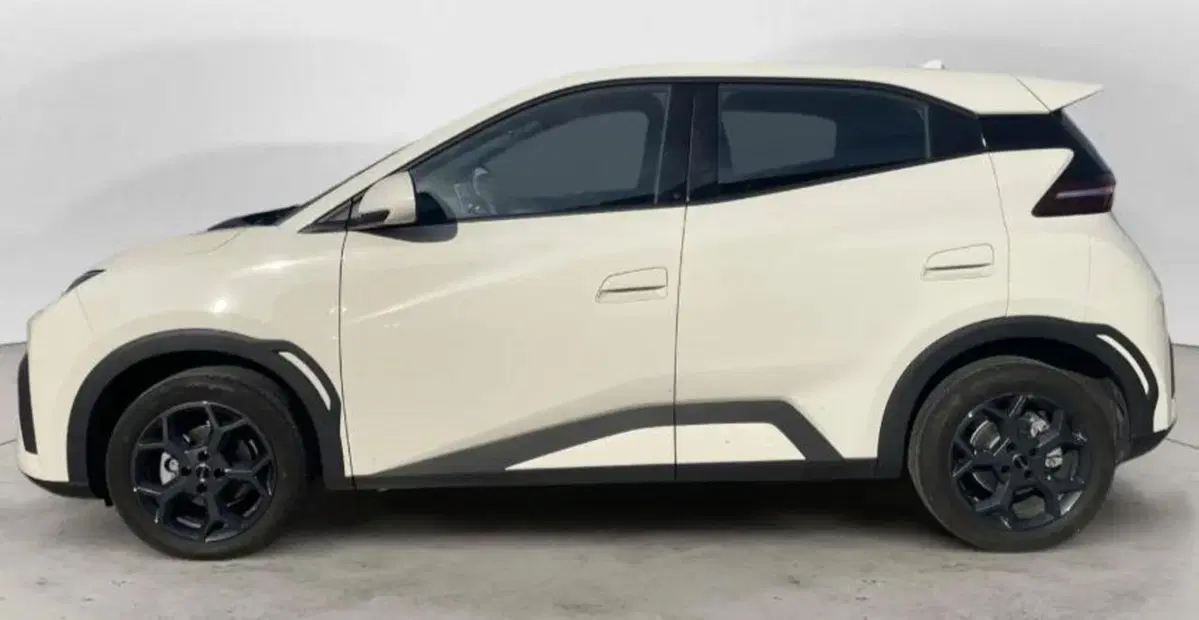 Byd Dolphin Surf nuova a Bologna (3)