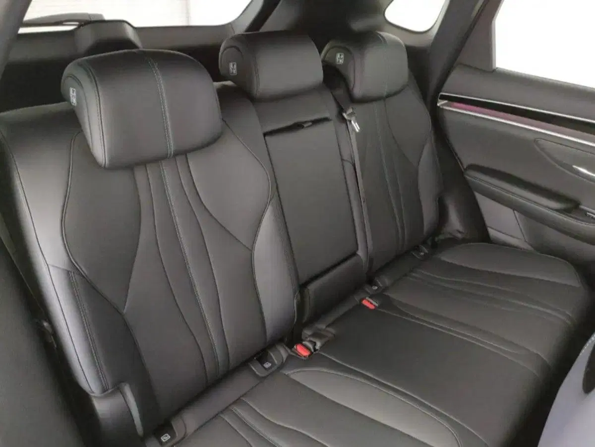 Byd Seal U DM-i nuova a Bologna (9)