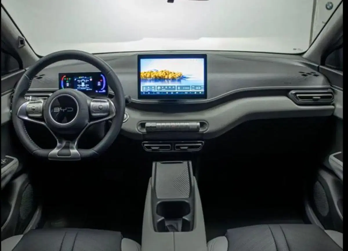Byd Dolphin Surf nuova a Bologna (7)