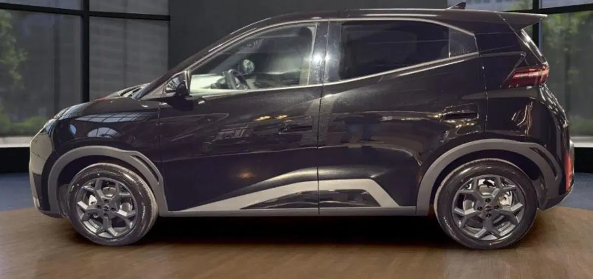 Byd Dolphin Surf nuova a Bologna (4)
