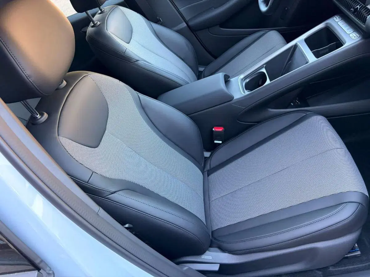 Byd Dolphin G DM-i nuova a Bologna (17)