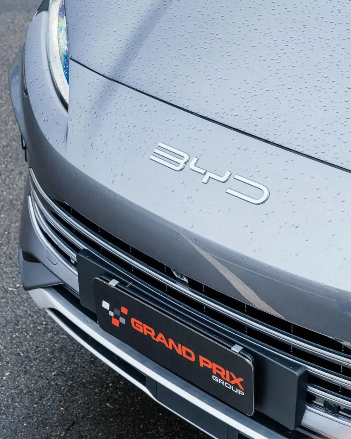 Byd Seal U DM-i nuova a Bologna (4)