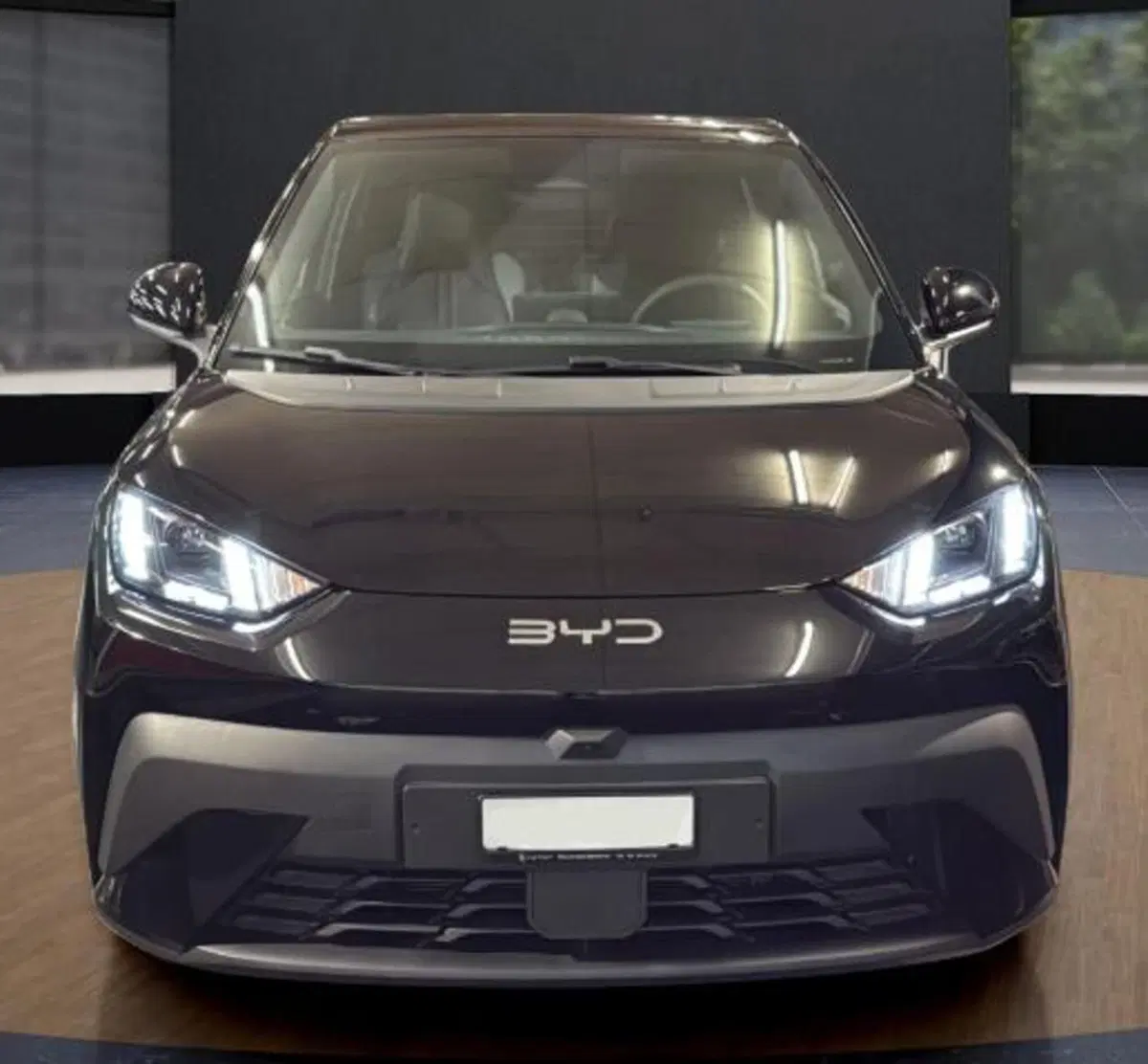 Byd Dolphin Surf nuova a Bologna