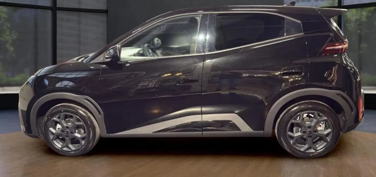 Byd Dolphin Surf nuova a Bologna (3)