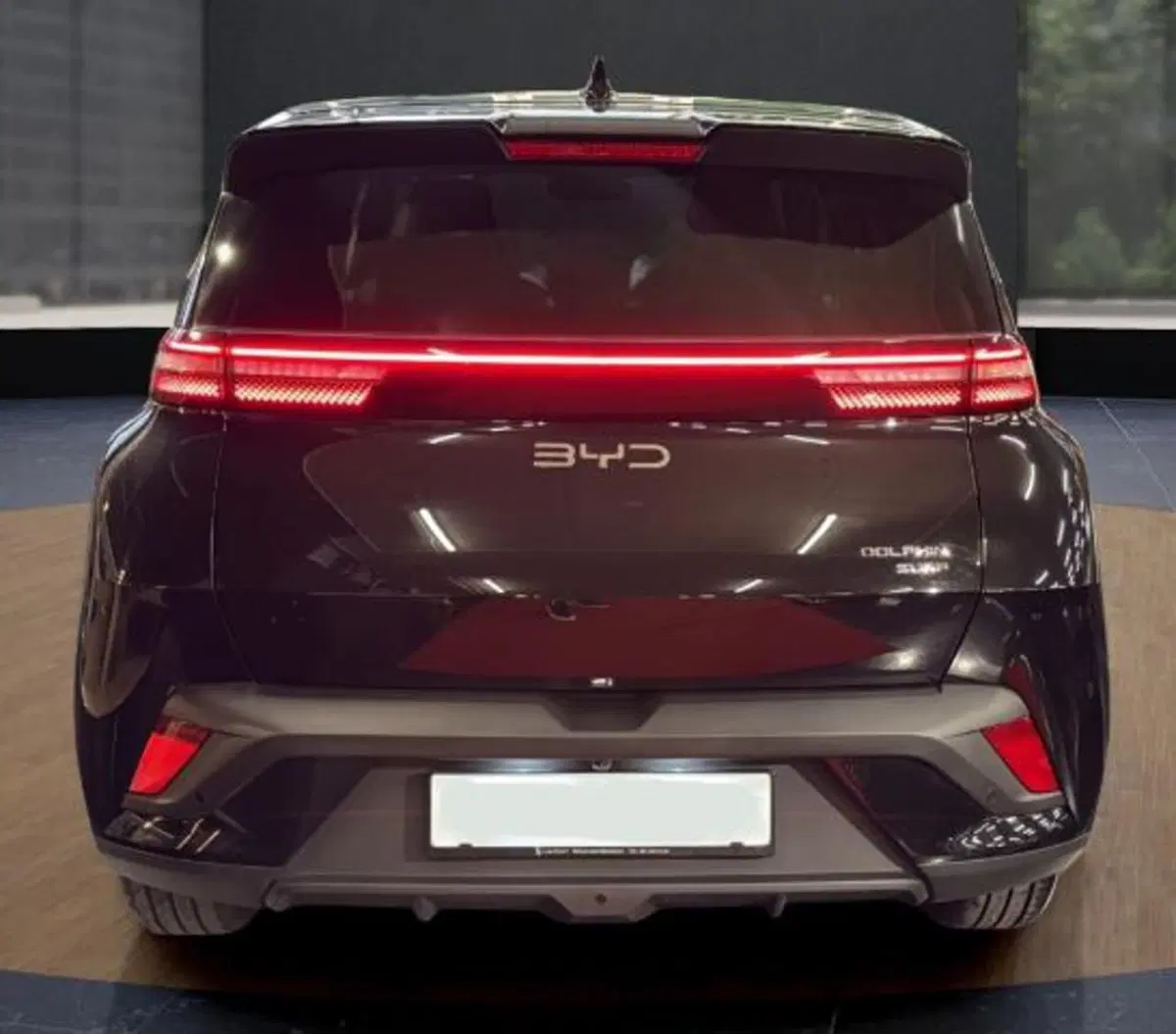 Byd Dolphin Surf nuova a Bologna (5)