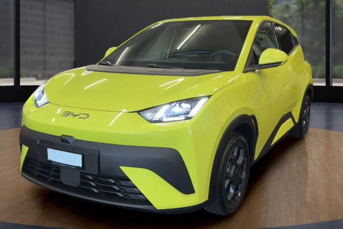 Byd Dolphin Surf nuova a Bologna (2)