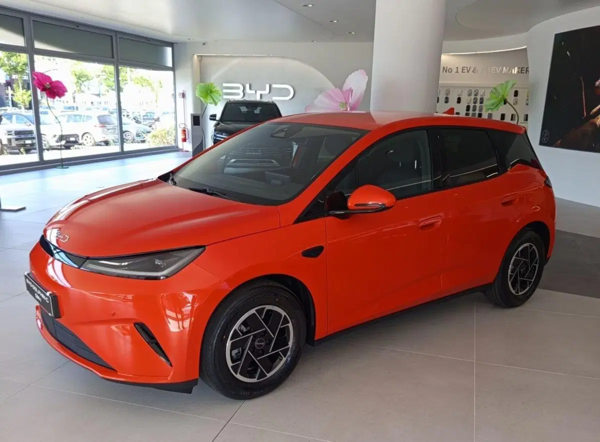 Byd Dolphin G DM-i nuova a Bologna (2)