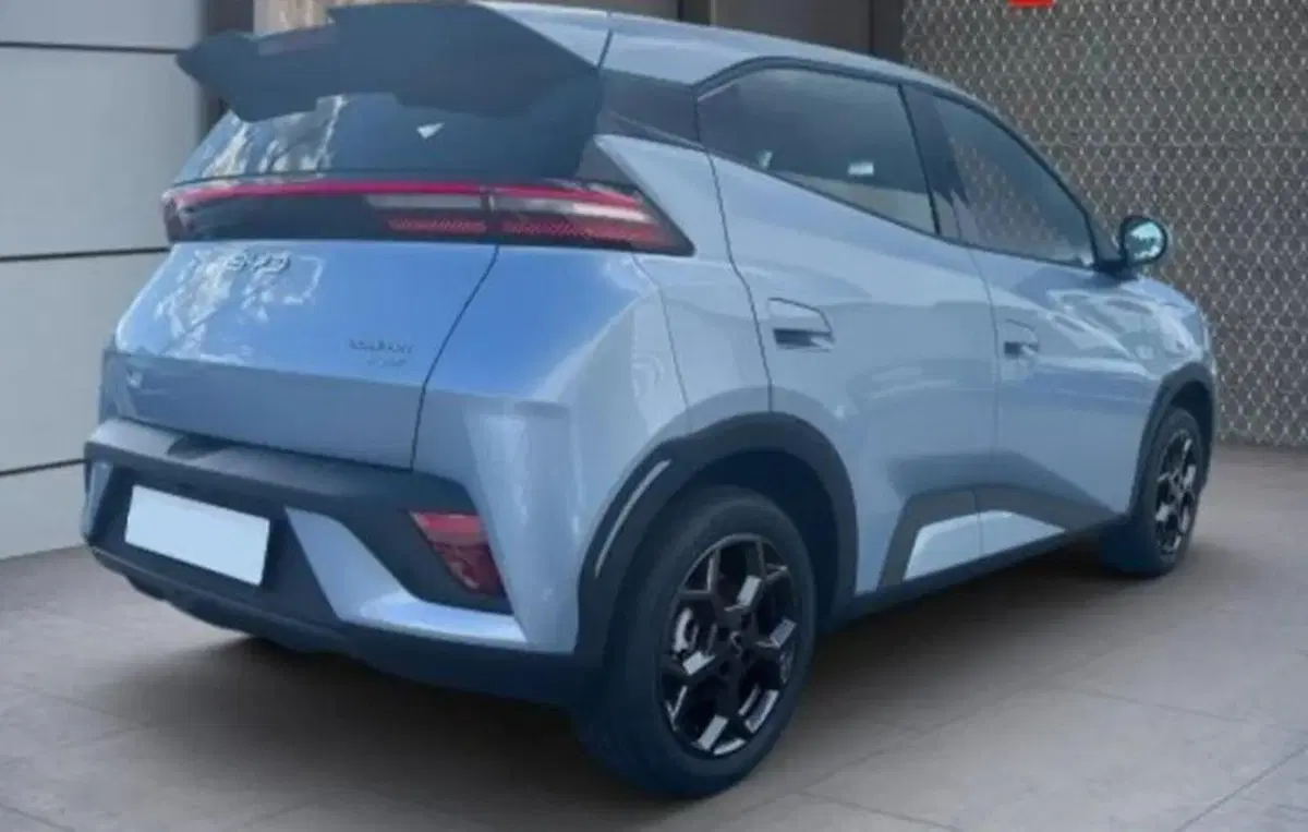 Byd Dolphin Surf nuova a Bologna (4)