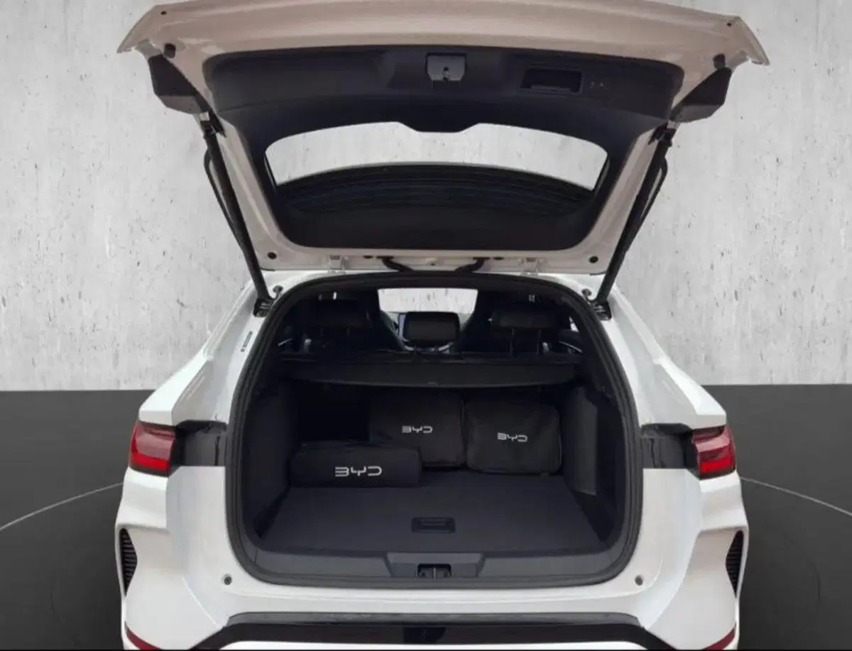 Byd Seal U DM-i nuova a Bologna (8)