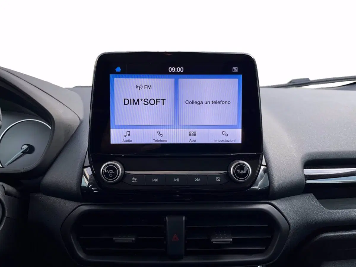Ford EcoSport usata a Milano (14)