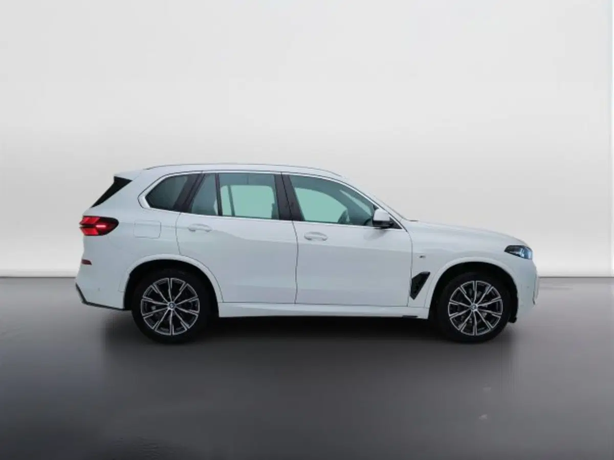 BMW X5 usata a Teramo (7)