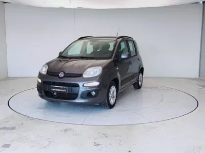 Fiat Panda 1.2 Lounge del 2018 usata a Mosciano Sant'Angelo