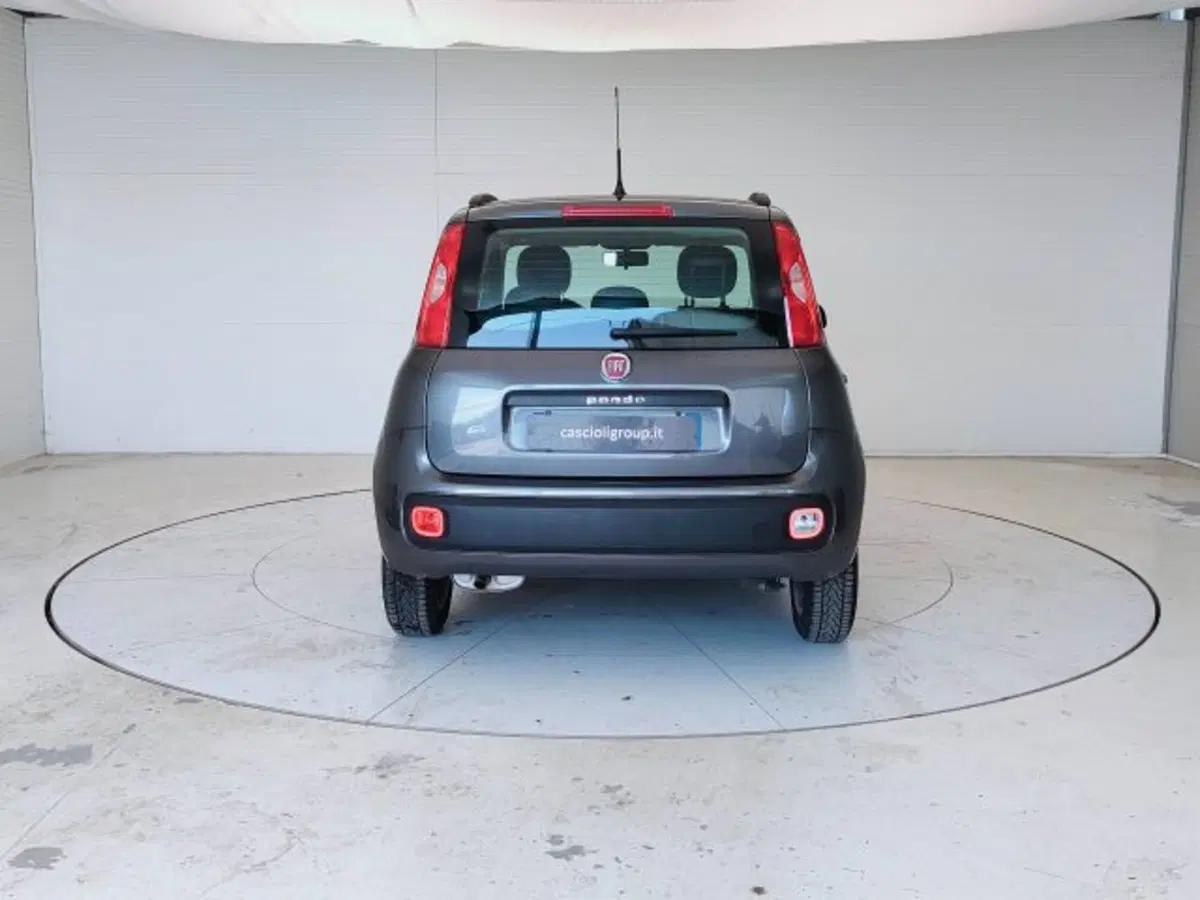 Fiat Panda usata a Teramo (6)