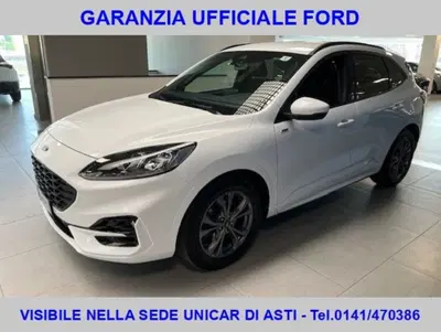 Ford Kuga 2.0 EcoBlue 120 CV aut. 2WD ST-Line X del 2023 usata a Alba