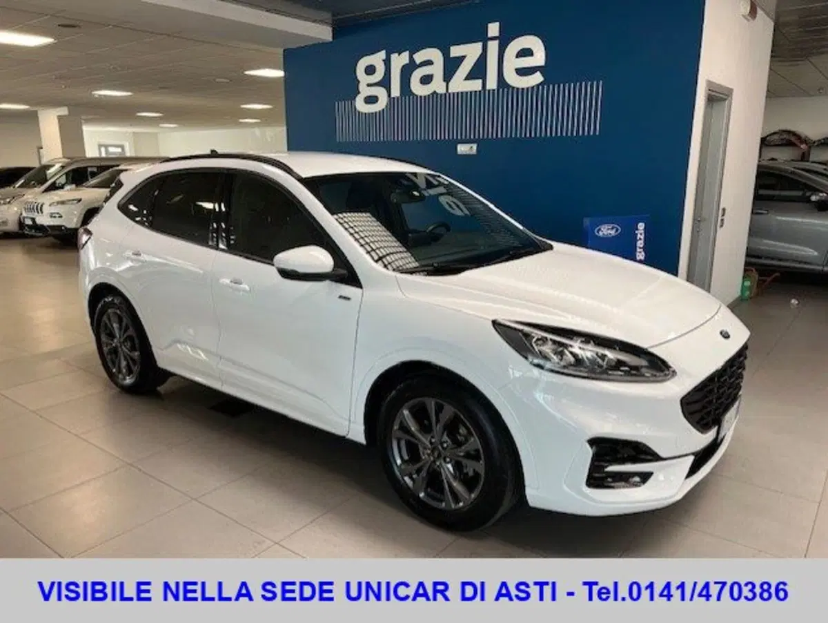 Ford Kuga usata a Cuneo (3)