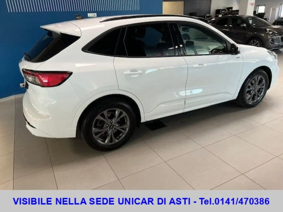 Ford Kuga usata a Cuneo (4)