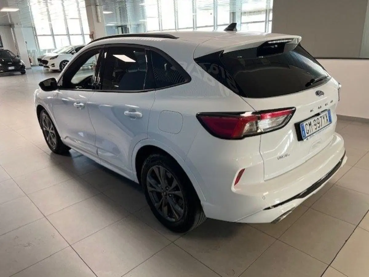 Ford Kuga usata a Cuneo (6)