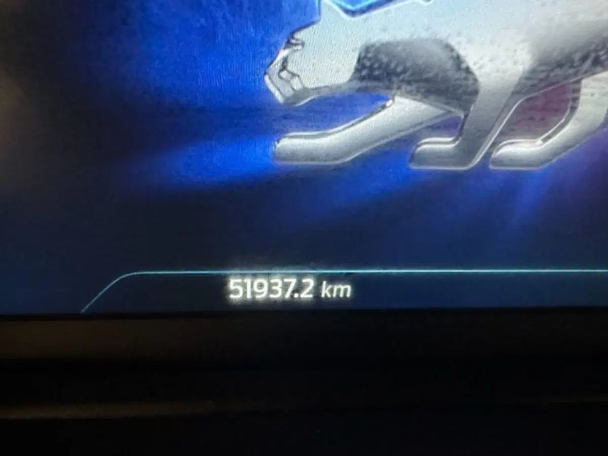 Ford Puma usata a Cuneo (17)