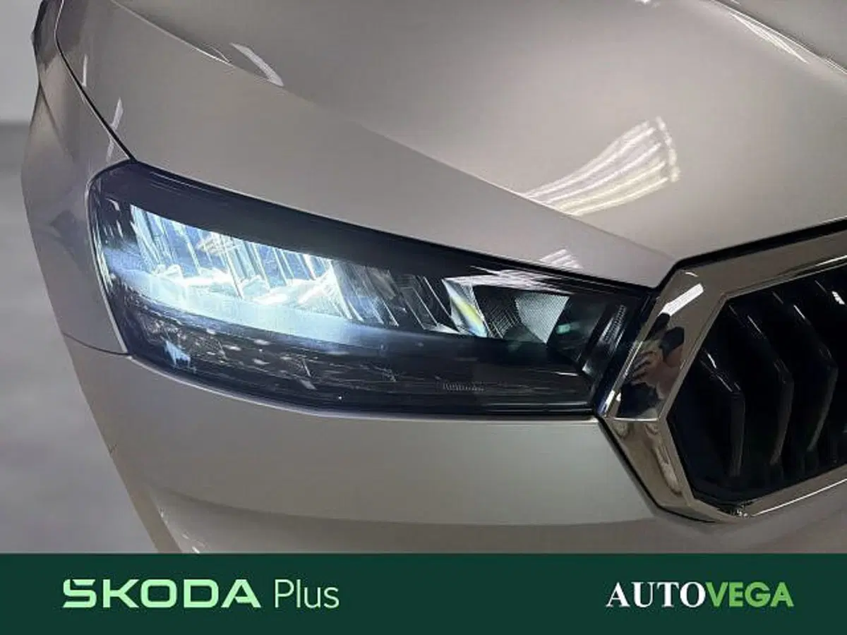 Skoda Fabia nuova a Vicenza (19)