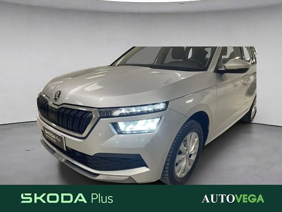 Skoda Kamiq usata a Vicenza (18)