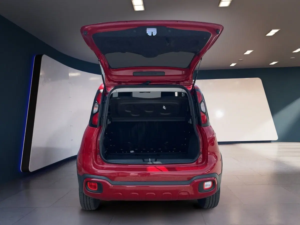 Fiat Panda usata a Torino (7)