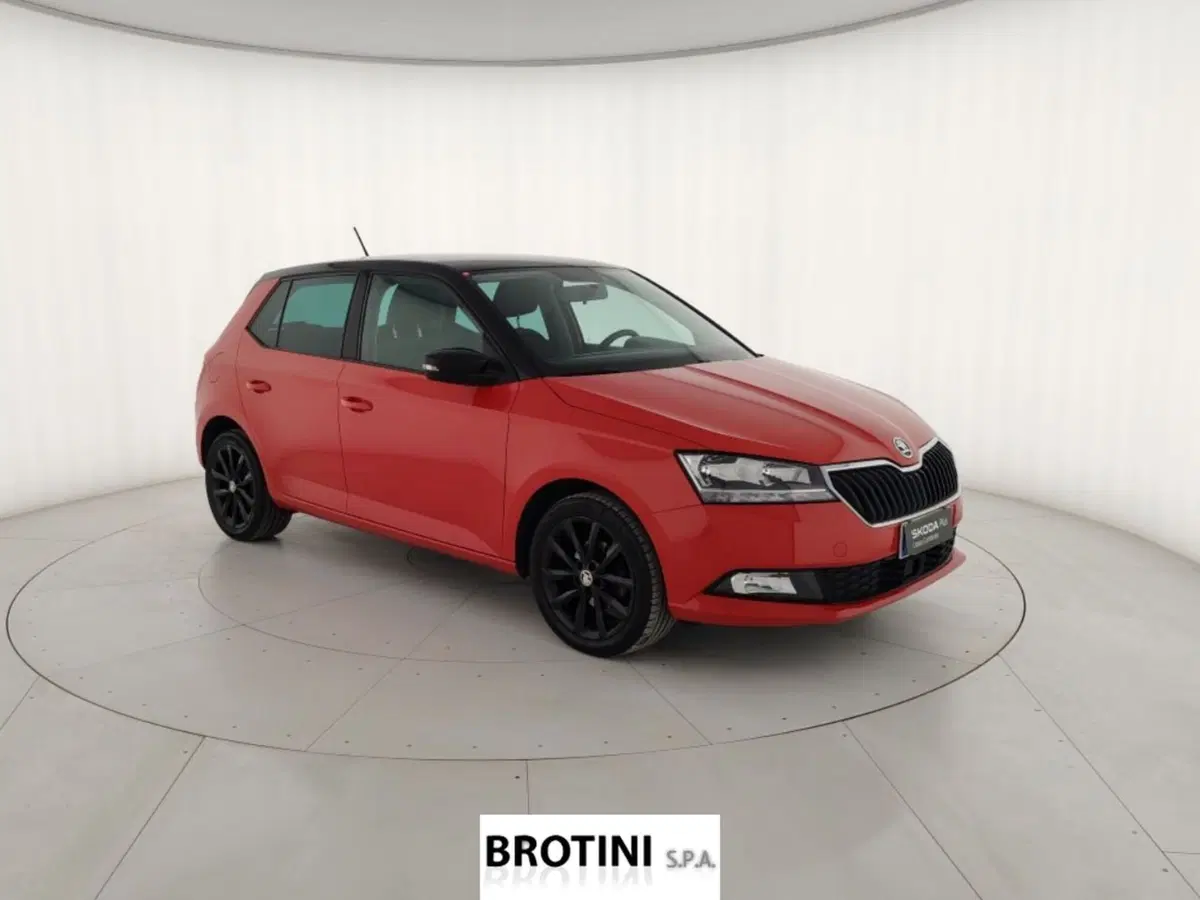Skoda Fabia usata a Massa-Carrara (4)