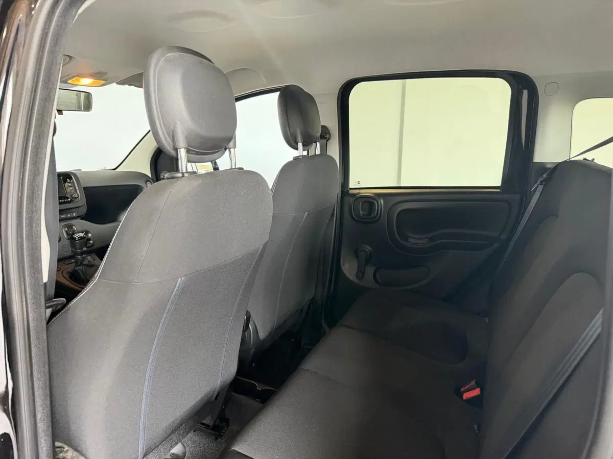Fiat Panda Cross usata a Monza e Brianza (11)