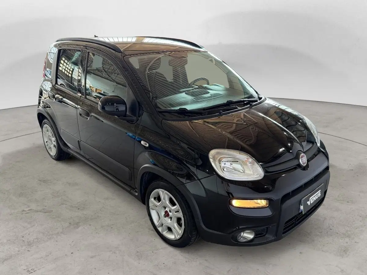 Fiat Panda Cross usata a Monza e Brianza (16)