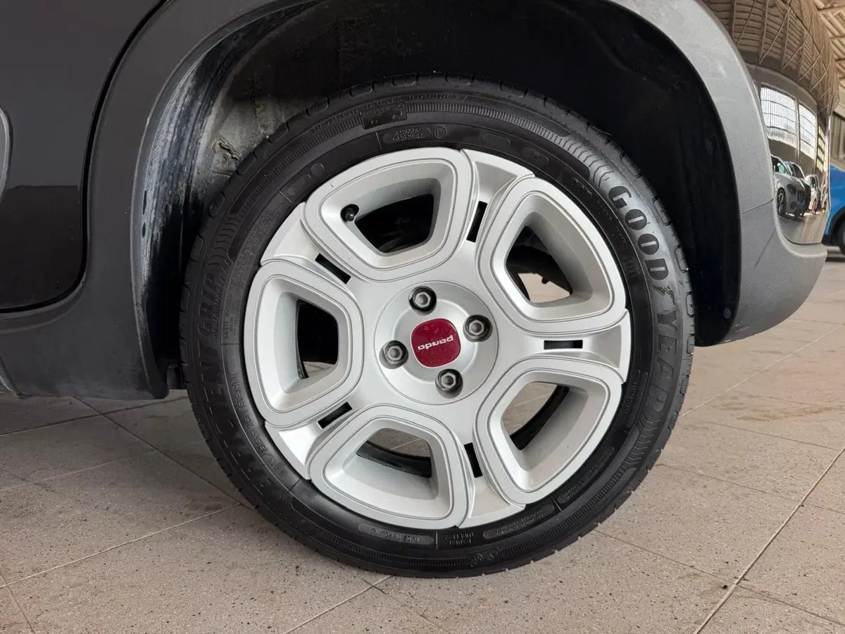 Fiat Panda Cross usata a Monza e Brianza (17)