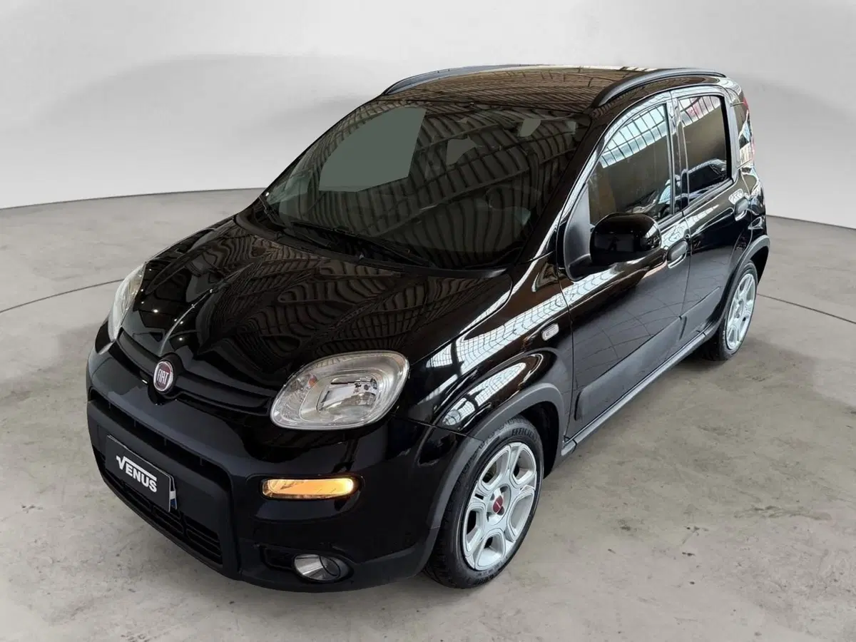 Fiat Panda Cross usata a Monza e Brianza (2)