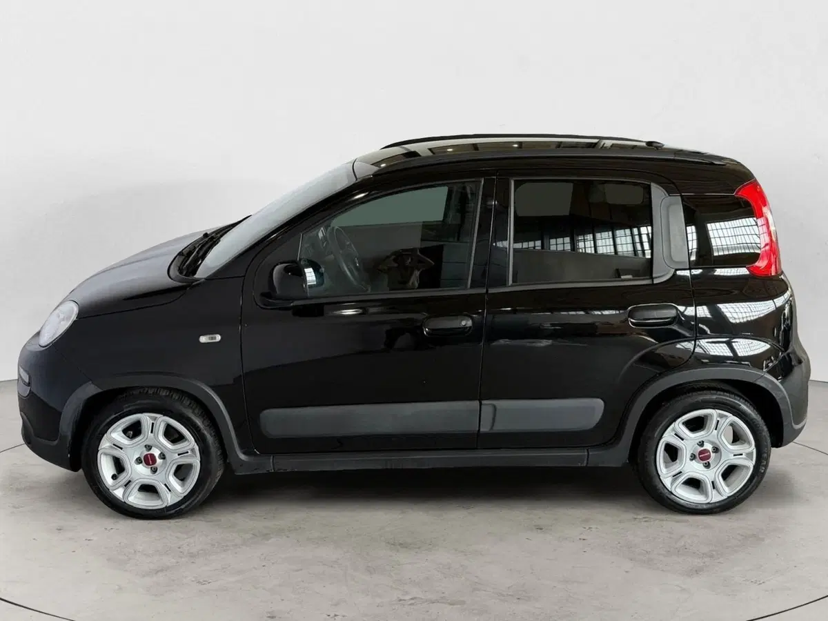 Fiat Panda Cross usata a Monza e Brianza (3)