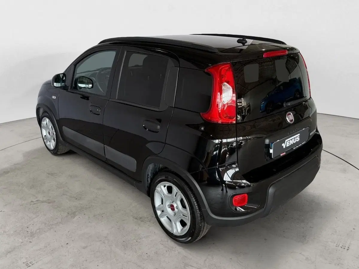 Fiat Panda Cross usata a Monza e Brianza (4)
