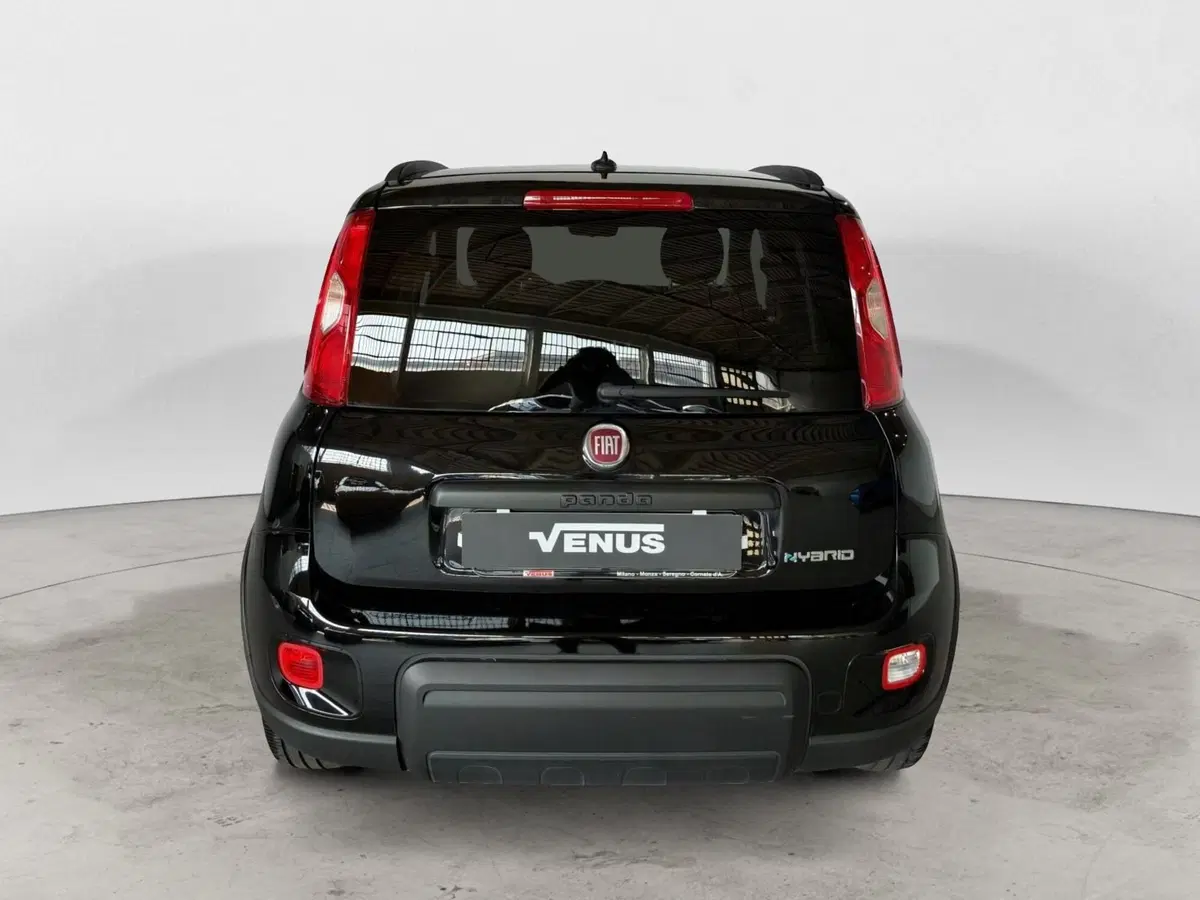 Fiat Panda Cross usata a Monza e Brianza (5)