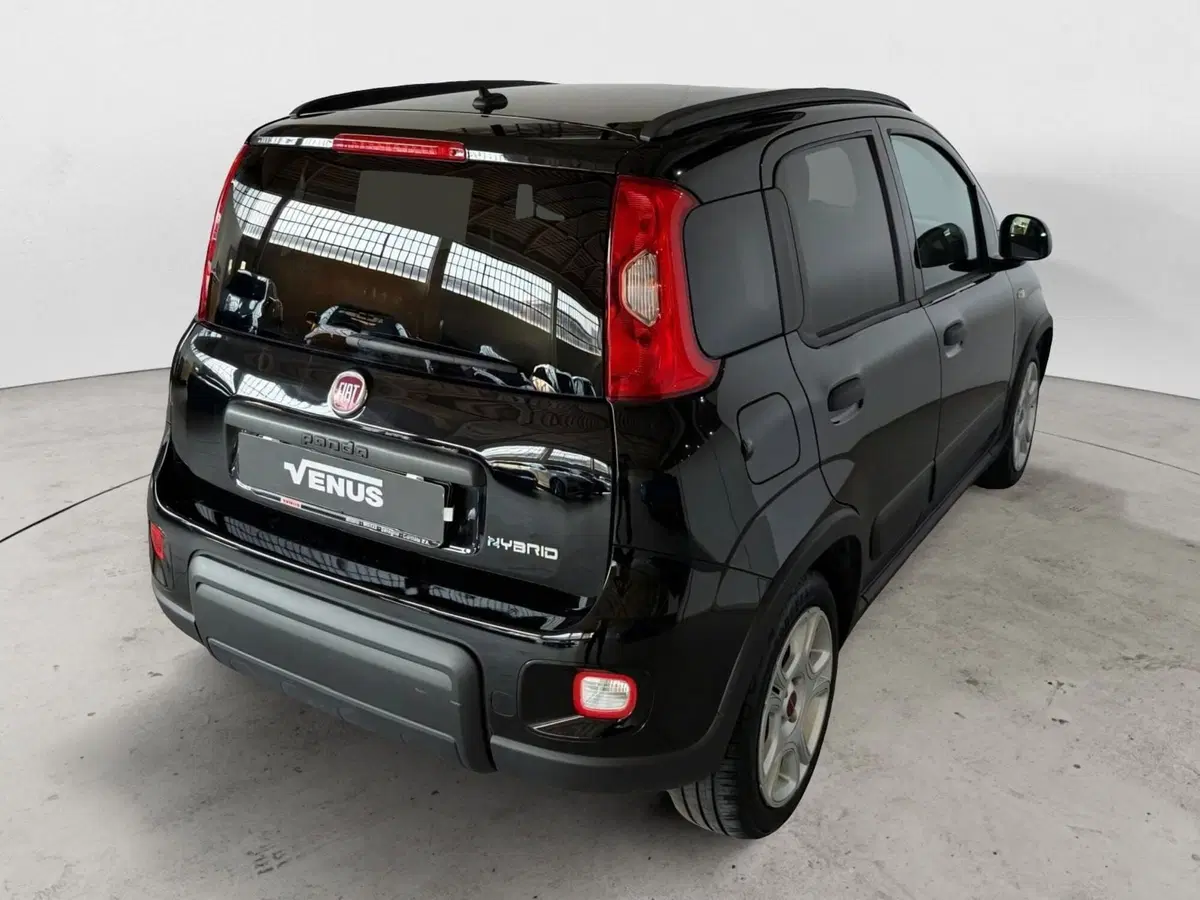 Fiat Panda Cross usata a Monza e Brianza (6)