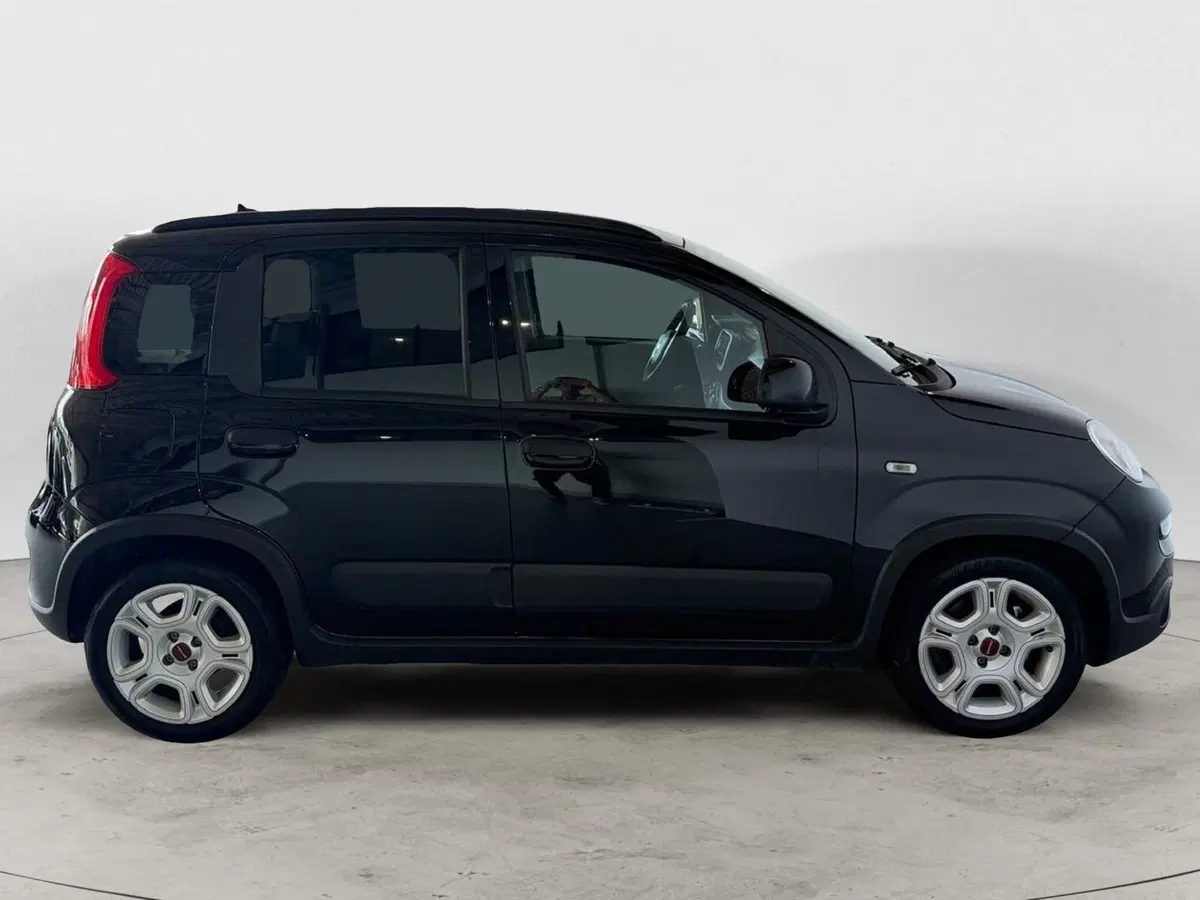 Fiat Panda Cross usata a Monza e Brianza (7)