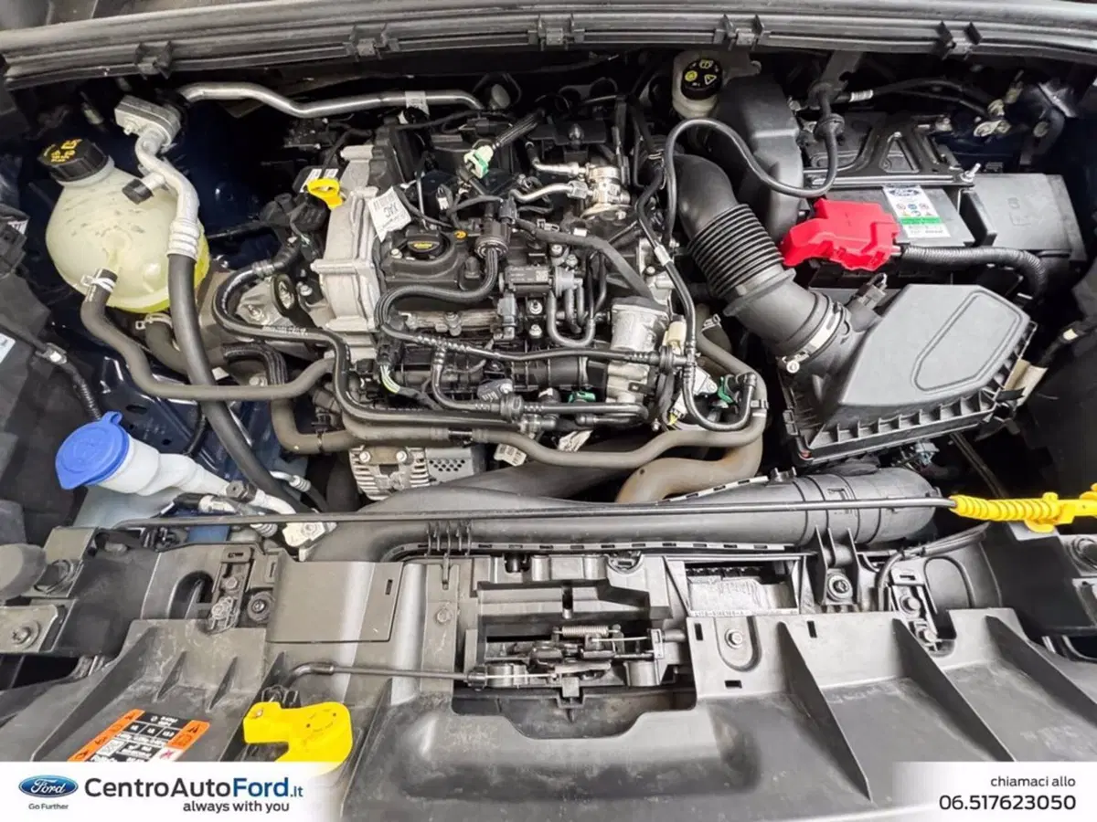 Ford Puma usata a Roma (12)