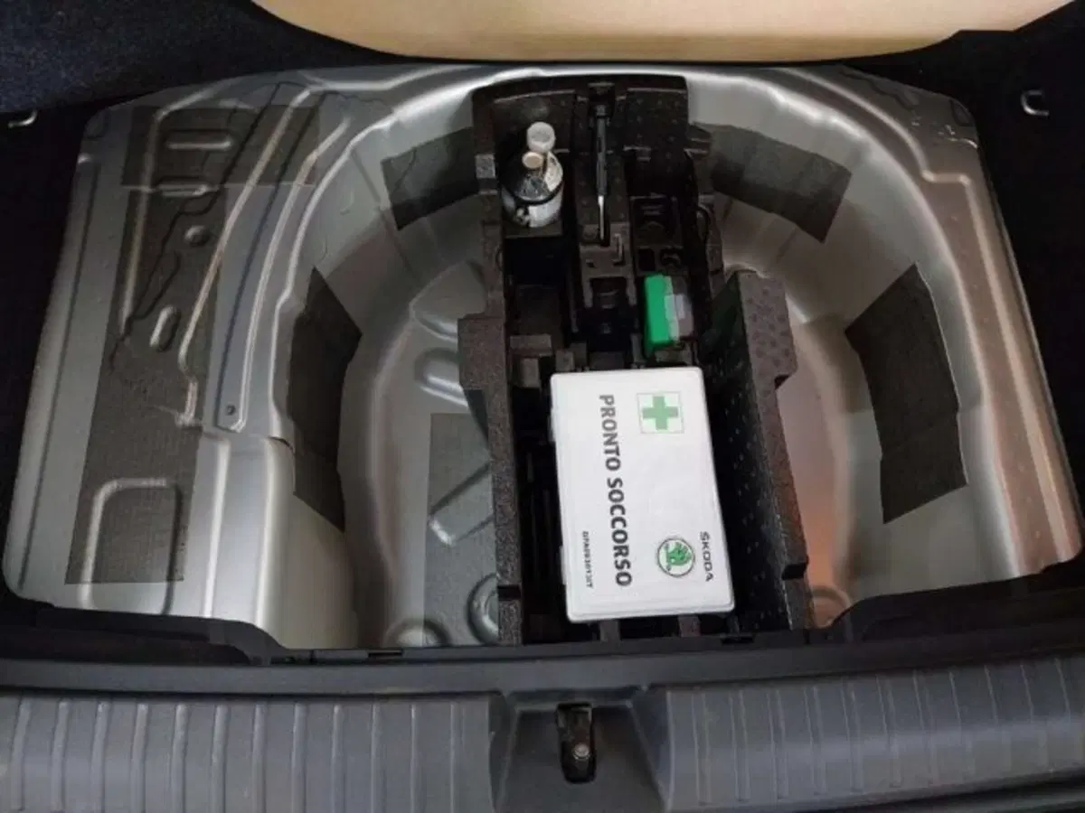 Skoda Kamiq usata a Firenze (10)
