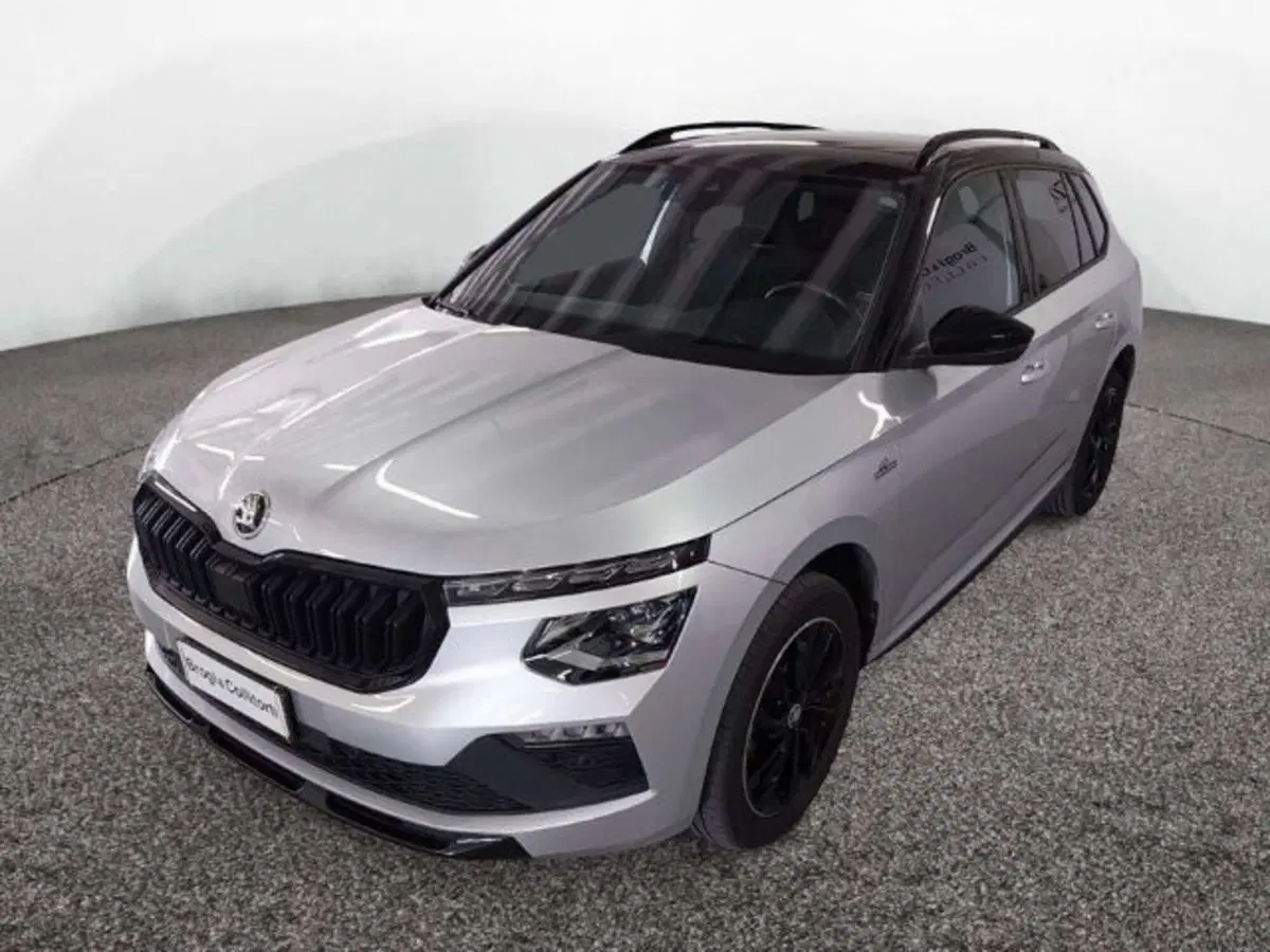 Skoda Kamiq usata a Firenze (3)