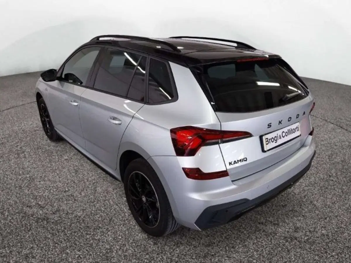Skoda Kamiq usata a Firenze (4)
