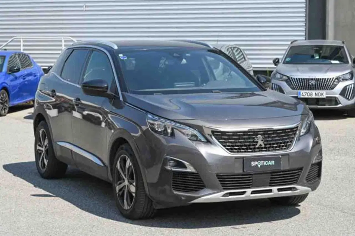 Peugeot 3008 usata a Torino (2)