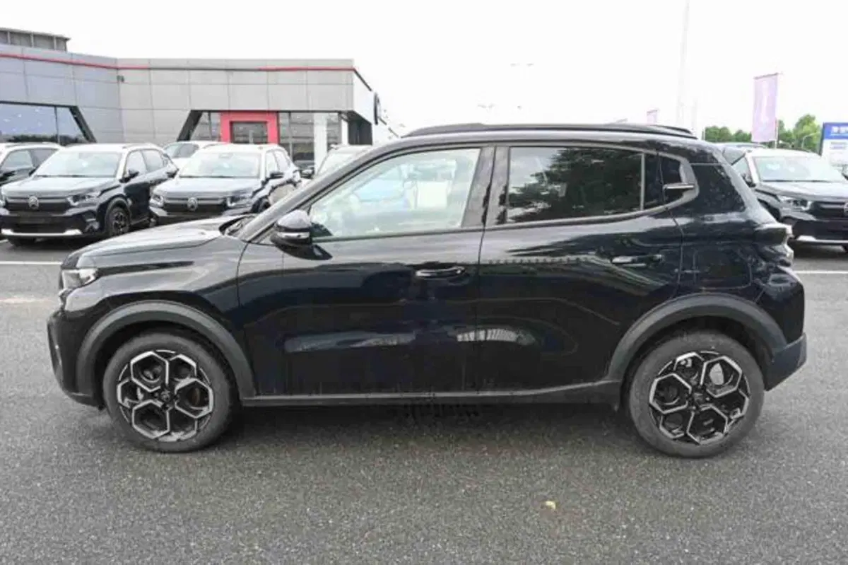 Citroen C3 usata a Torino (20)