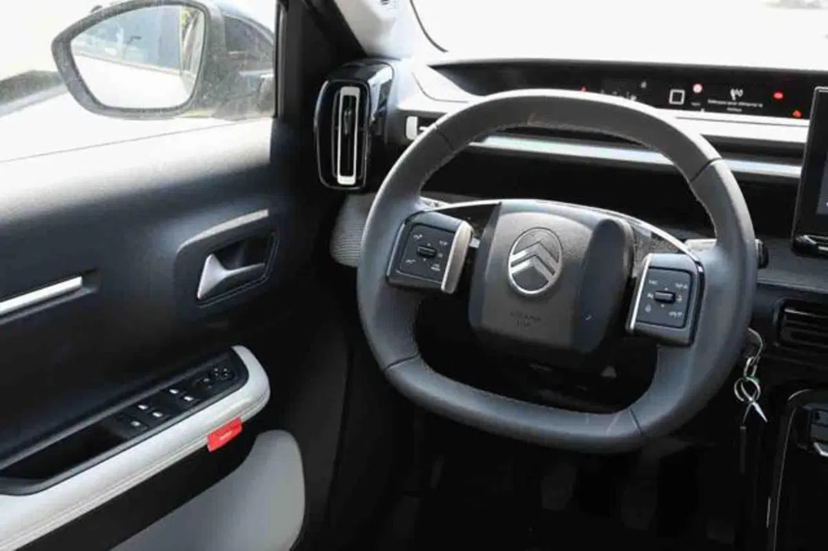 Citroen C3 usata a Torino (12)
