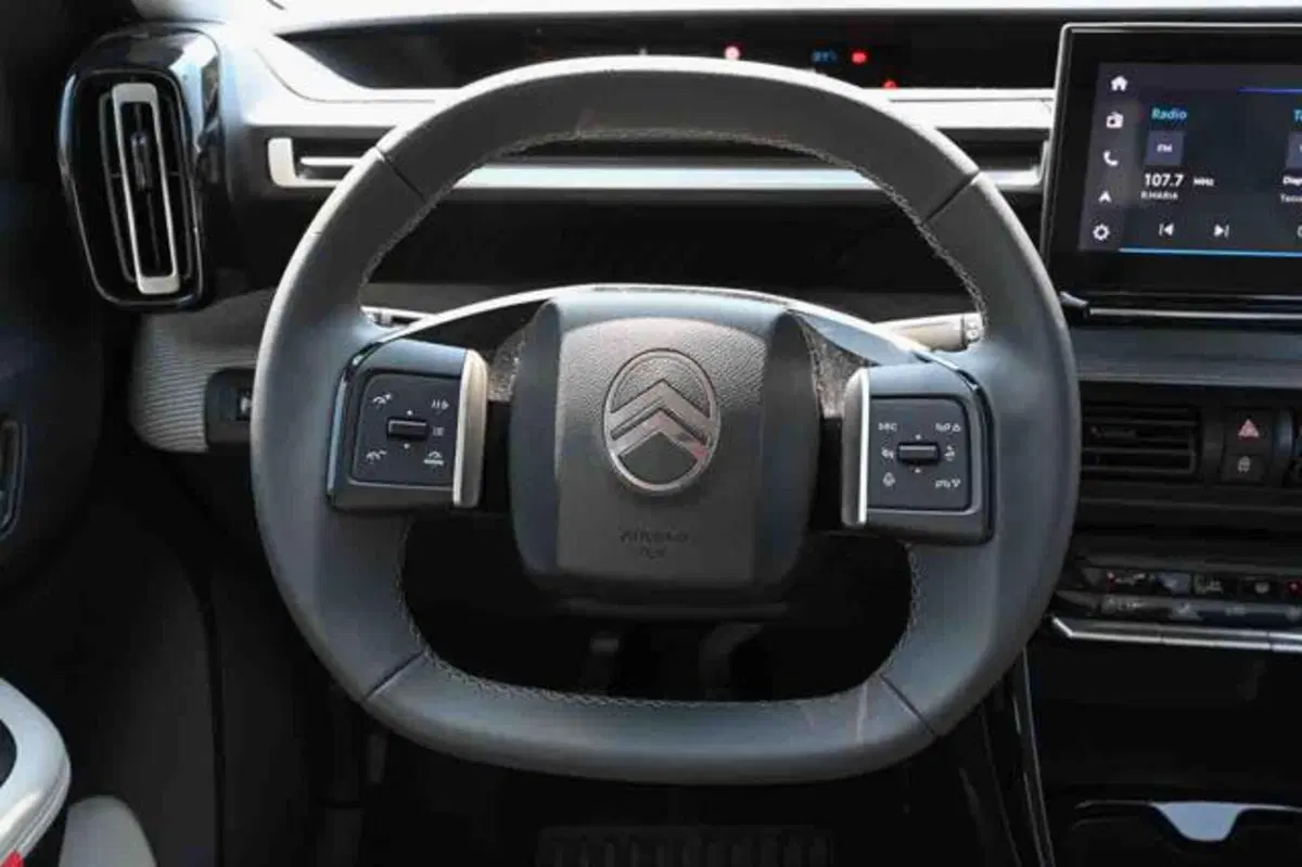 Citroen C3 usata a Torino (20)