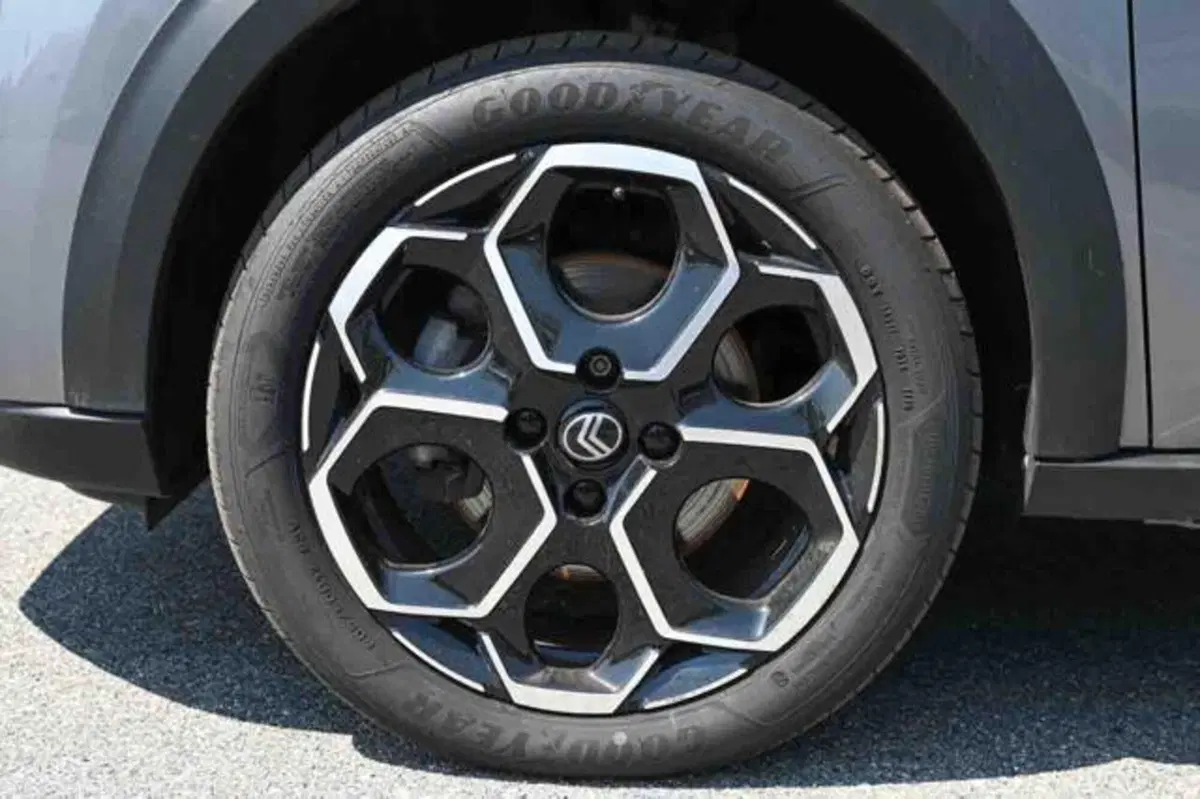 Citroen C3 usata a Torino (6)