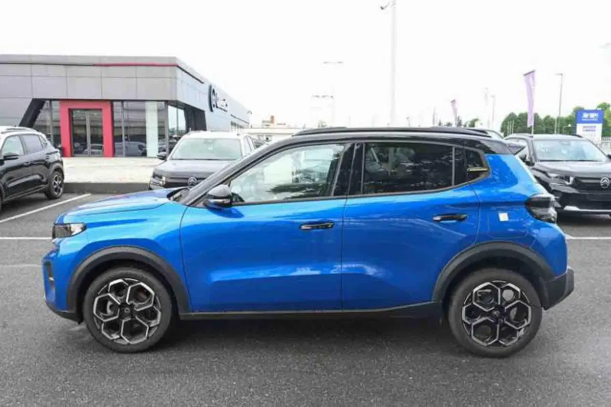 Citroen C3 usata a Torino (18)